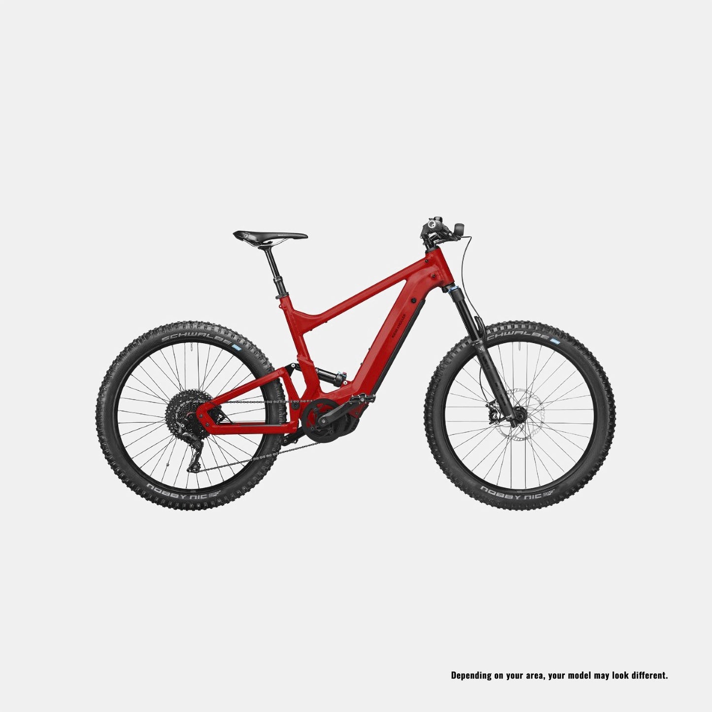 Anti-Diebstahl-Set - Riese & Müller Delite Mountain