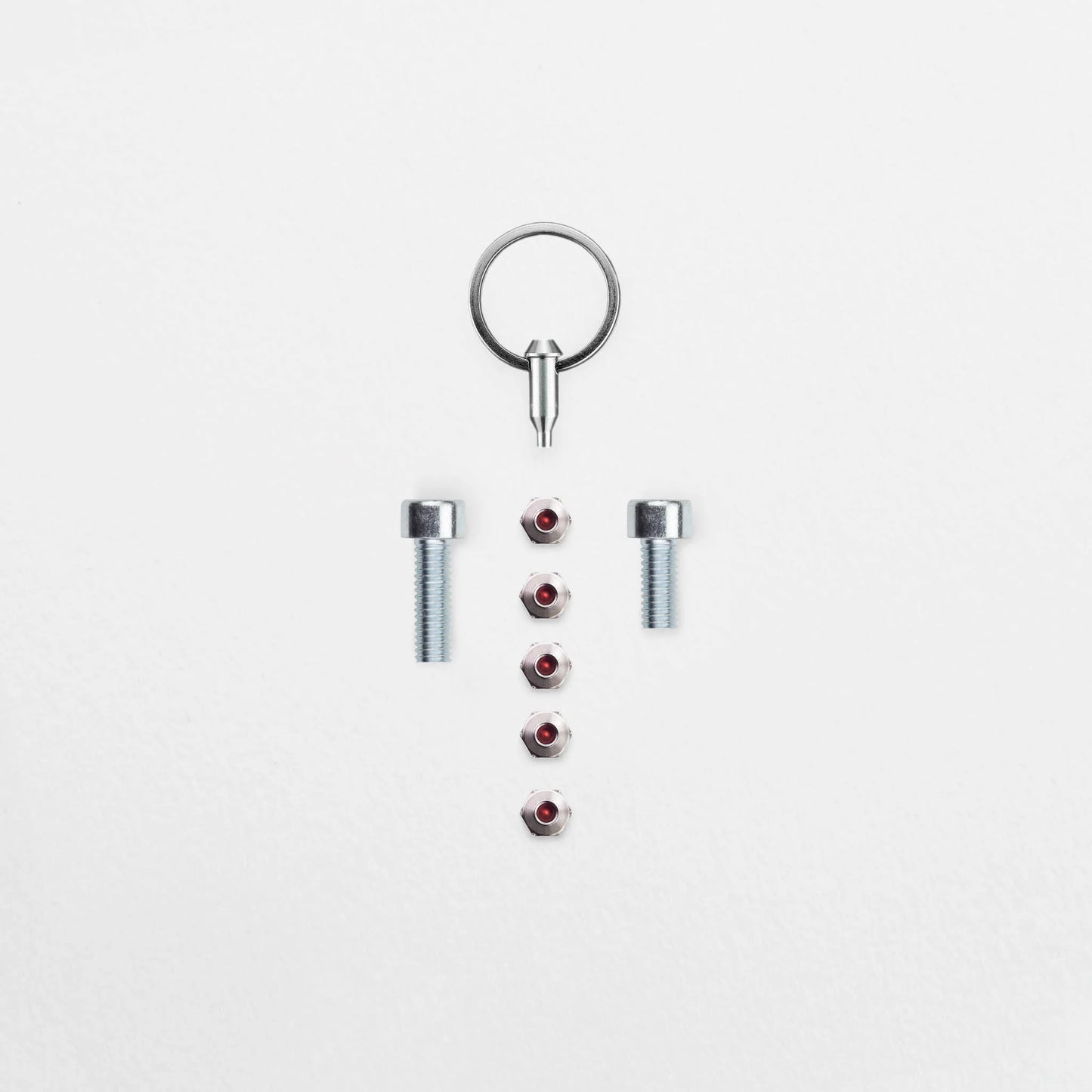 Anti-theft set - Schindelhauer Hektor