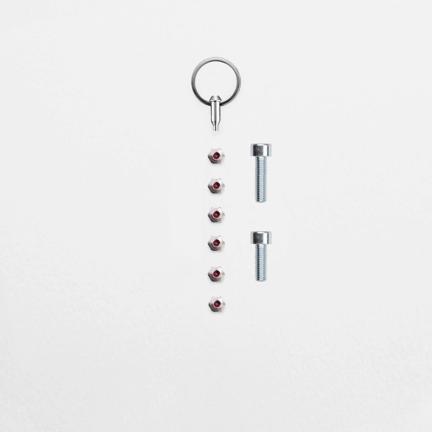 Anti-Diebstahl-Set - Schindelhauer Jacob