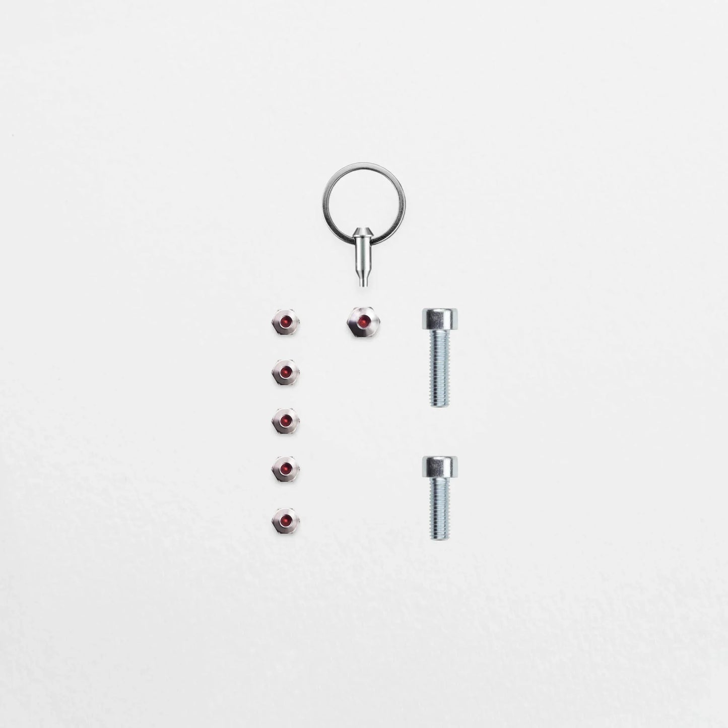 Anti-Diebstahl-Set - Schindelhauer Ludwig XIV