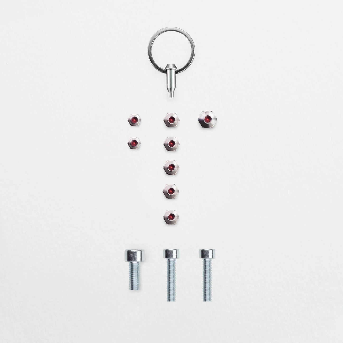 Anti-Diebstahl-Set - Schindelhauer Oskar