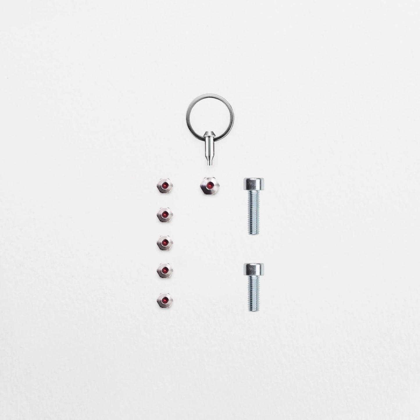 Anti-Diebstahl-Set - Schindelhauer Wilhelm C-Line, P-Line