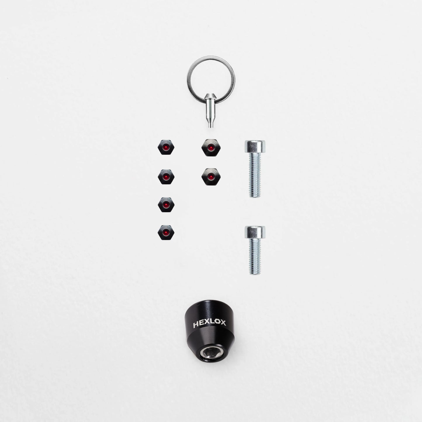 Anti-Diebstahl-Set - Schindelhauer Friedrich VIII/XI