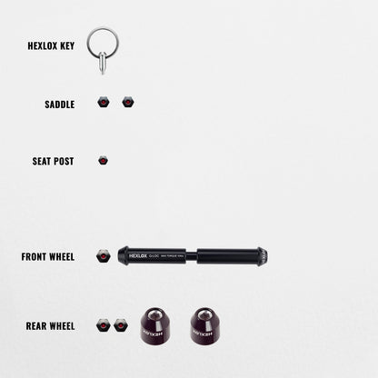 Anti-Diebstahl-Set - Riese & Müller Homage GT Vario