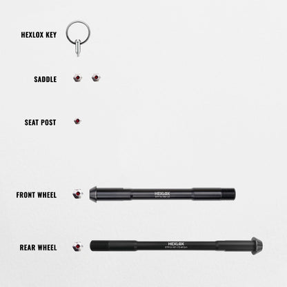Anti-Diebstahl-Set - Riese & Müller Delite Mountain