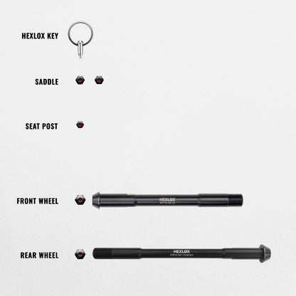 Anti-Diebstahl-Set - Riese & Müller Delite Mountain