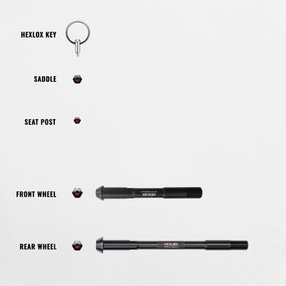 Anti-Diebstahl-Set - Desiknio Pinion Urban X20