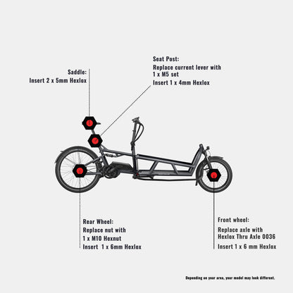Anti-Diebstahl-Set - Riese Müller Load 75