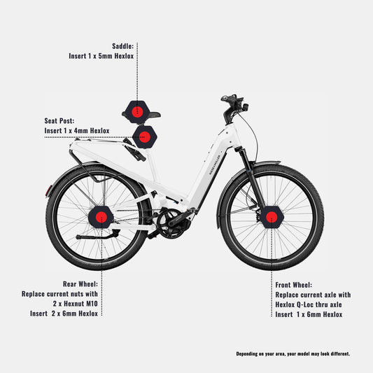 Anti-Diebstahl-Set - Riese & Müller Homage GT Vario