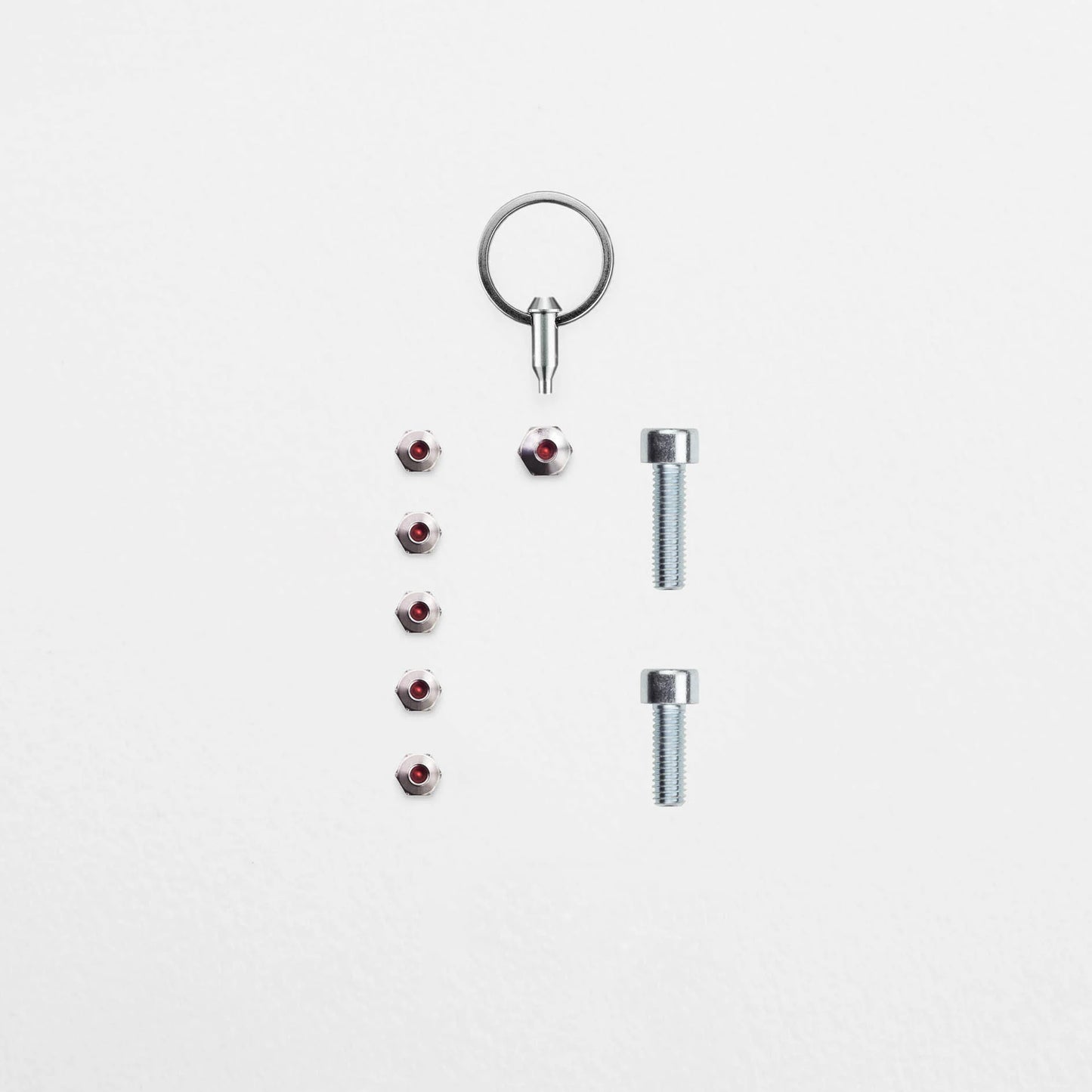 Anti-Diebstahl-Set - Schindelhauer Viktor