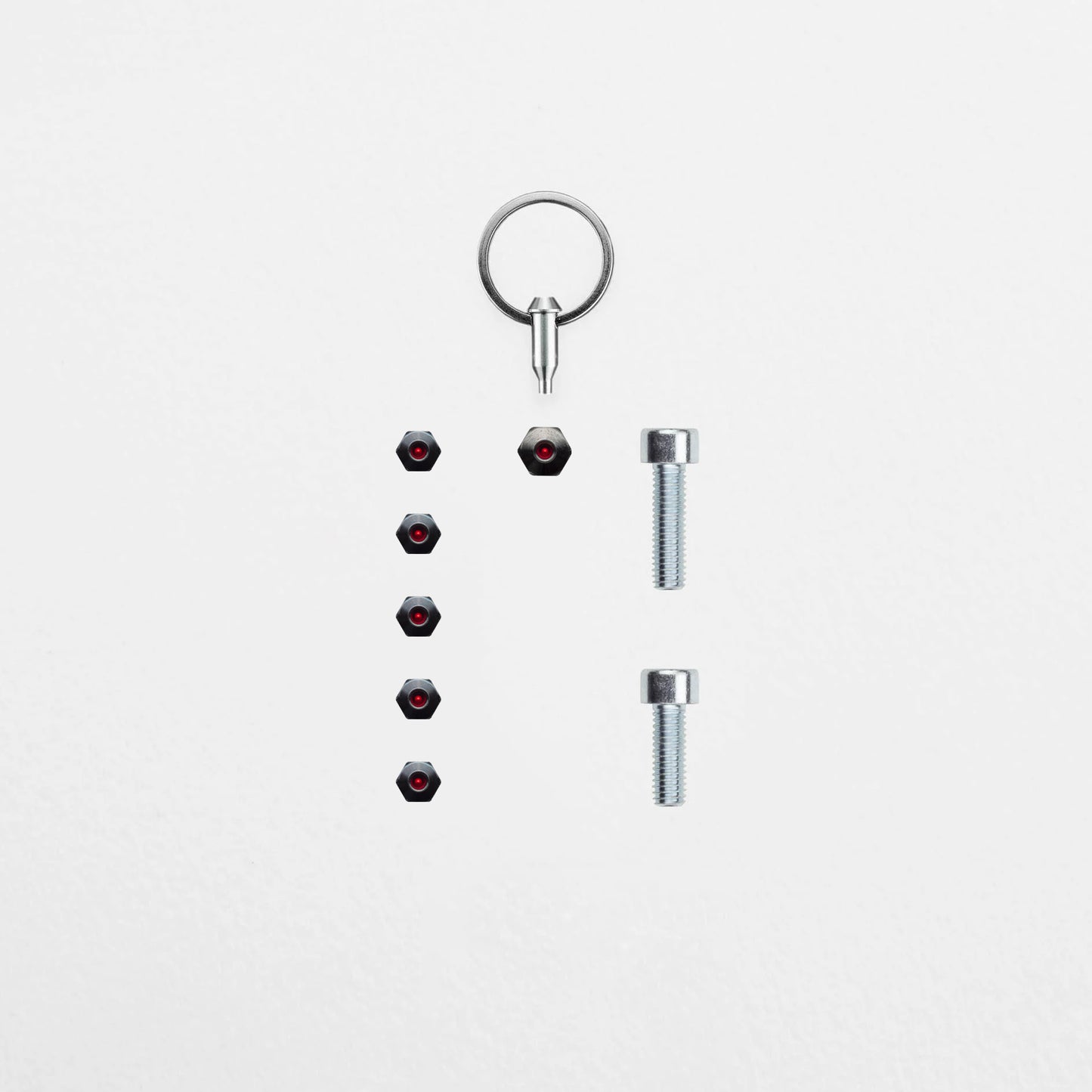 Anti-Diebstahl-Set - Schindelhauer Viktor